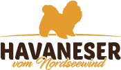 Havaneser vom Nordseewind Logo